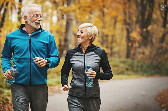 Synephrine HCL best price